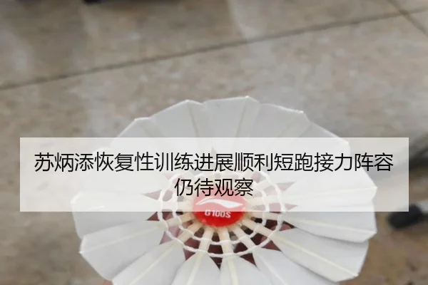 苏炳添恢复性训练进展顺利短跑接力阵容仍待观察（AOA SPORTS）
